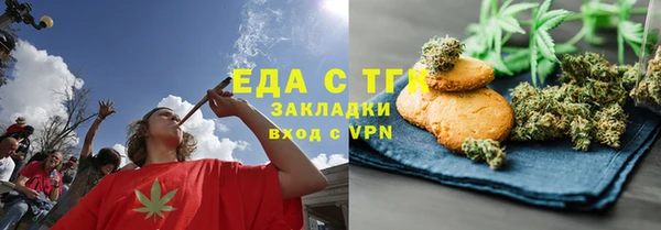 индика Аркадак