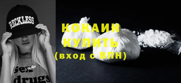 индика Аркадак