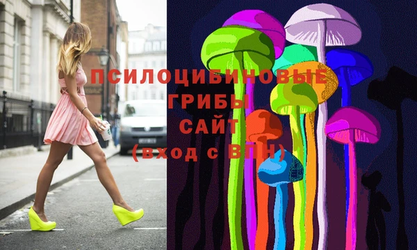 apvp Арсеньев